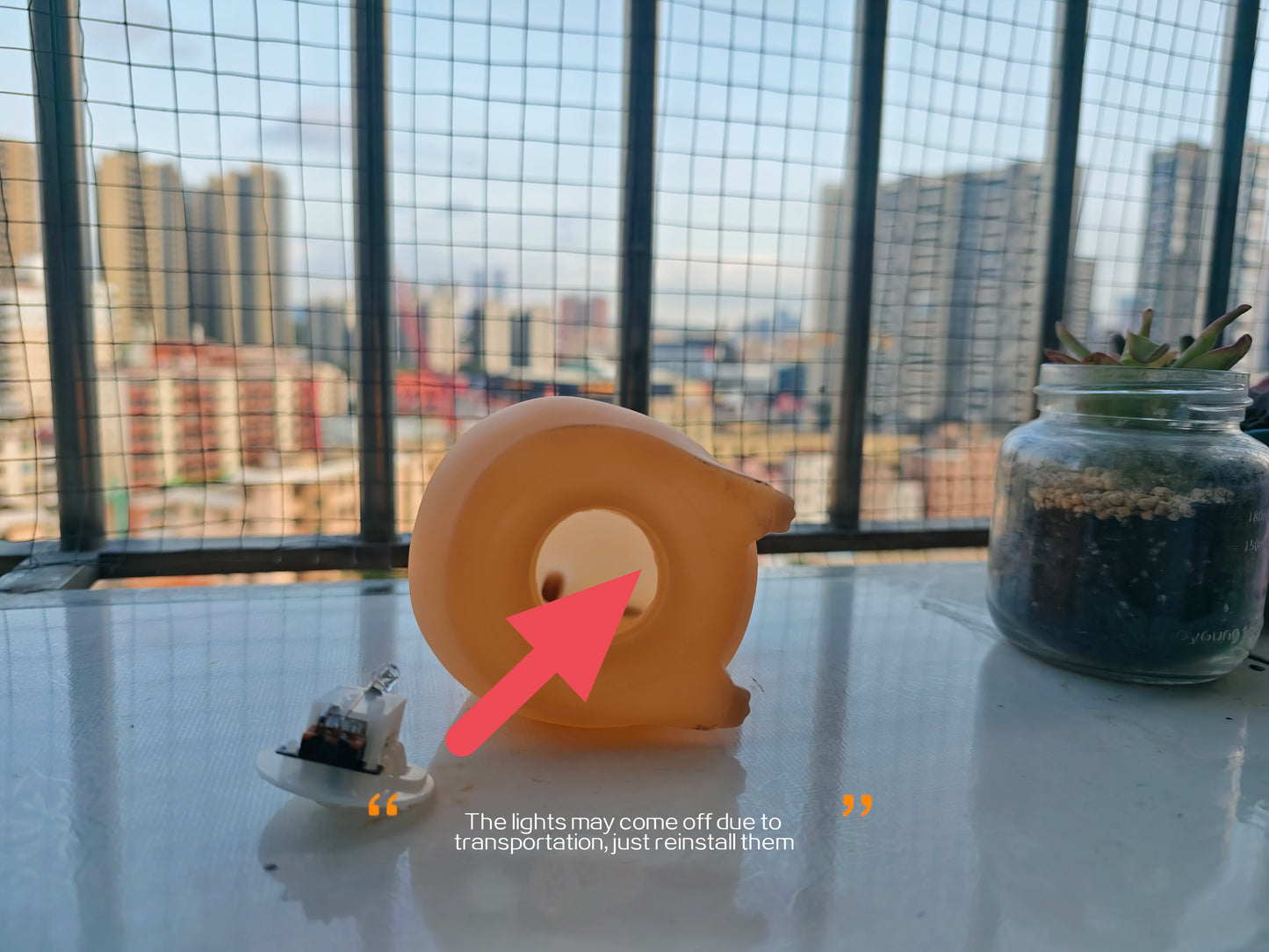 Capybara Night Light